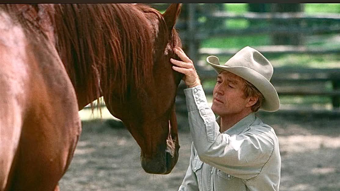 Robert Redford in The Horse Whisperer (1998) Horse Whisperer