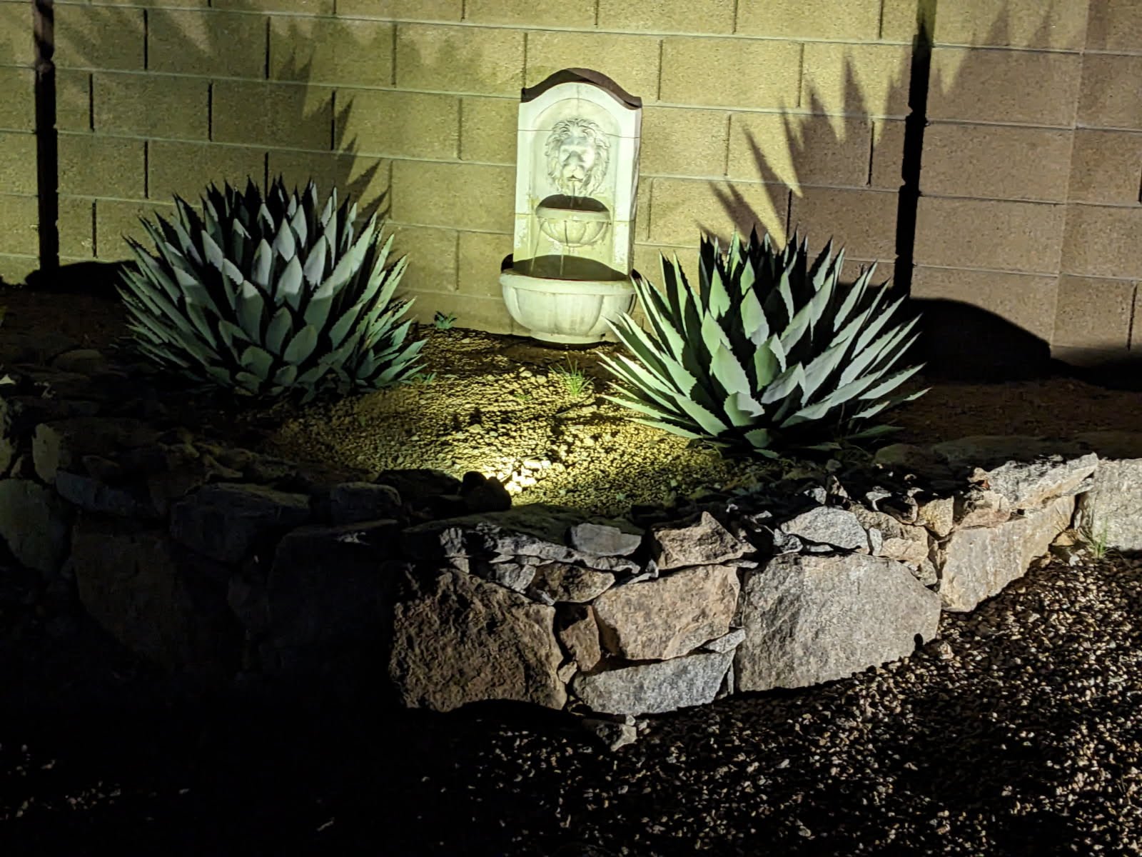 The ‘Chisholm’ Trail Agave Garden in Prescott on Oct 7, 2025 Agave